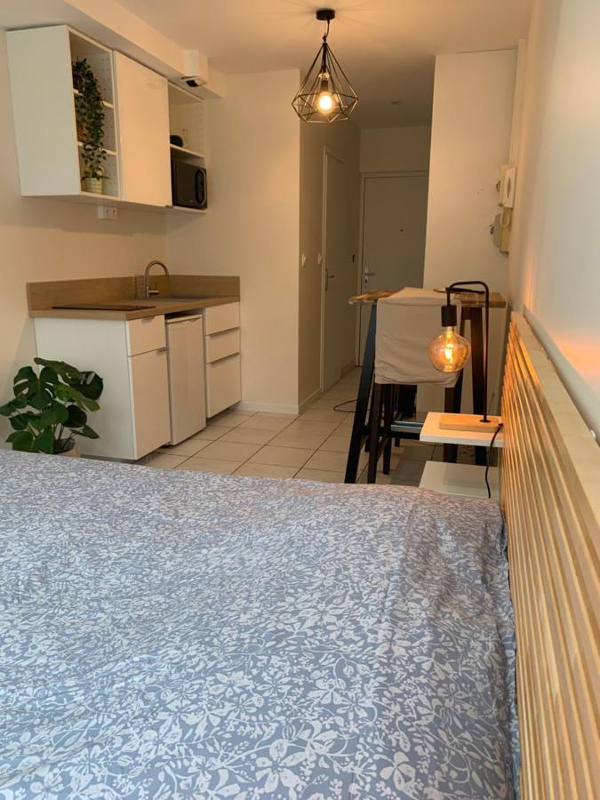 Apt Lyon Flachet Villeurbanne Kültér fotó